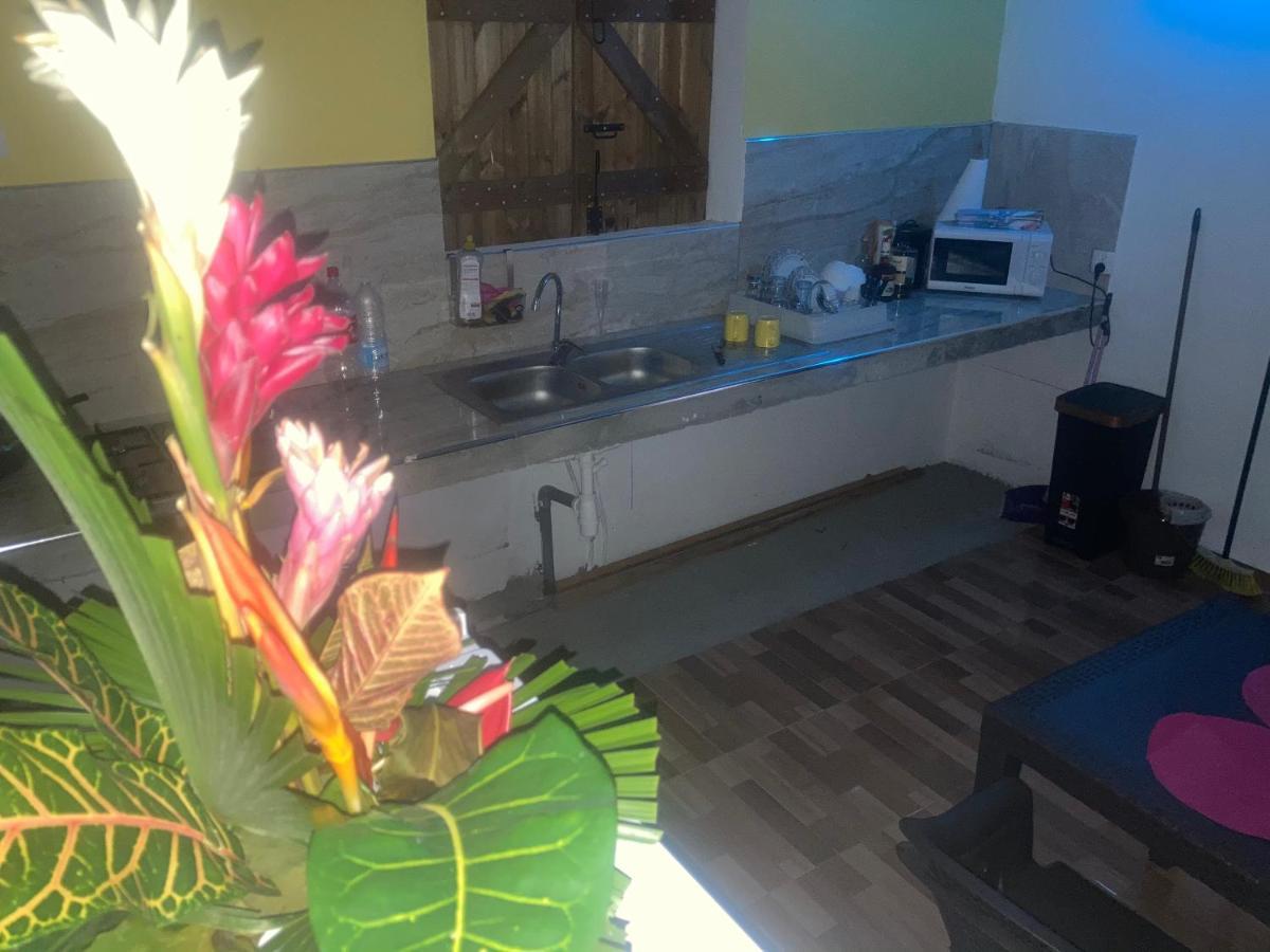 Appartement Mangrove et citron à Port-Louis Extérieur photo